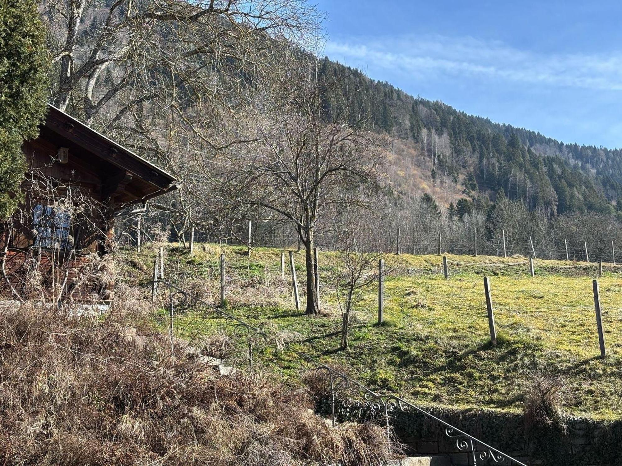 Moderne-Ferienwohnung-Nur-1Km-Vom-Millstaetter-See-In-Kaernten-Entfernt ميلستاف المظهر الخارجي الصورة